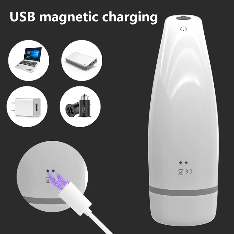 11 Masturbator Charging.jpg