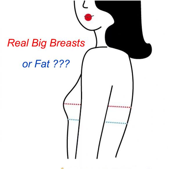 Bust Cup and Size Measurement
